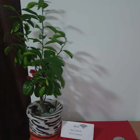Apartment Nea Iskra Vyletska Berezhanska Street *