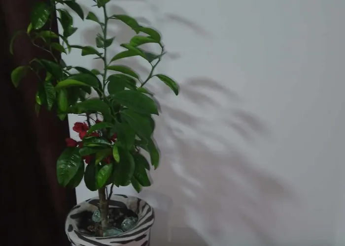 Apartmán Nea Iskra Vyletska Berezhanska Street *